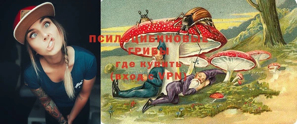 а пвп мука Аркадак