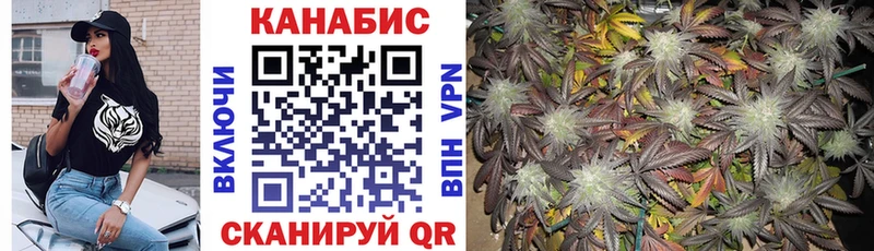 хочу   Новороссийск  Шишки марихуана Amnesia 